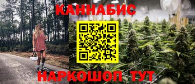 стафф Пенза