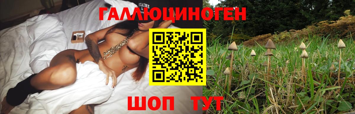 Гашиш  Полевской  Экстази  МАРИХУАНА  ГАШИШ  Меф  МЕТ  Мефедрон кристаллы  Кокаин  Купить закладку  Вход с VPN 