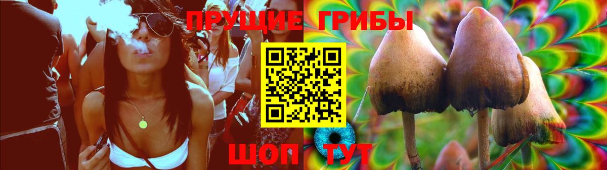 Псилоцибиновые грибы мицелий Полевской